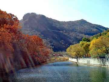 新澳天天开奖资料大全旅游团，织梦站群